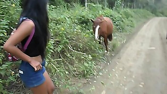 Deze Ecuadoriaanse Tiener Wordt Gecreampied Door Een Grote Penis Nadat Ze Op Een Paard Heeft Gereden