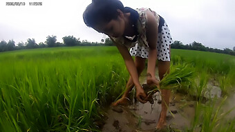 Rice Fields Dan Racy Rides: Petualangan Telanjang Di Tempat Umum