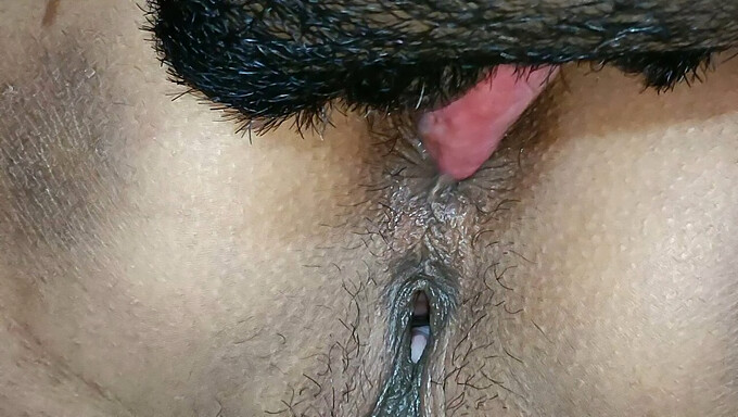 রিয়ার বড় পাছা এই Pov ভিডিওতে একটি মুখের ফাক পায়।