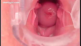 Video Hd Ini Menampilkan Vagina Seorang Gadis Yang Menyembur Dengan Kenikmatan.