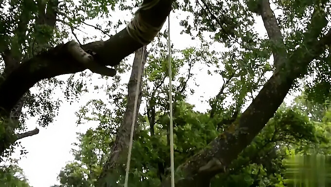 Luna Amor Brinca Com Seus Seios No Jardim.