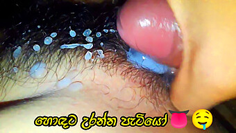 Porno Sinhala Nuevo: Esposa Follando Con Pelotas Peludas