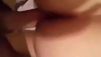 Domácí Alžírské Sexuální Video S Velkými Kozy A Hrou S Penisem