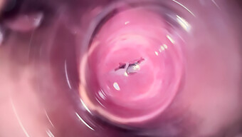 Teen Mia'S Tight Vagina Gets The Attention It Deserves In Hd Close-Up Video