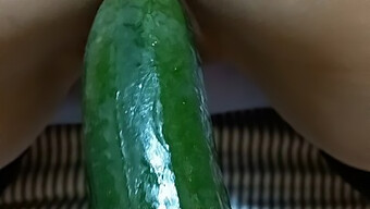 Amateur Latina Gets Her Tight Pussy Stretched By A Big Cucumber